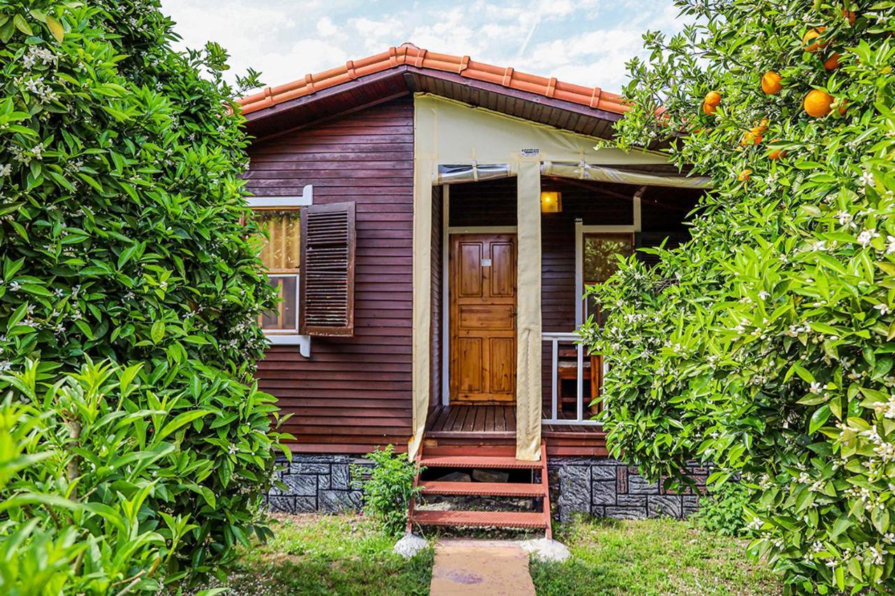 Three Islands Bungalow Çıralı Exteriör bild