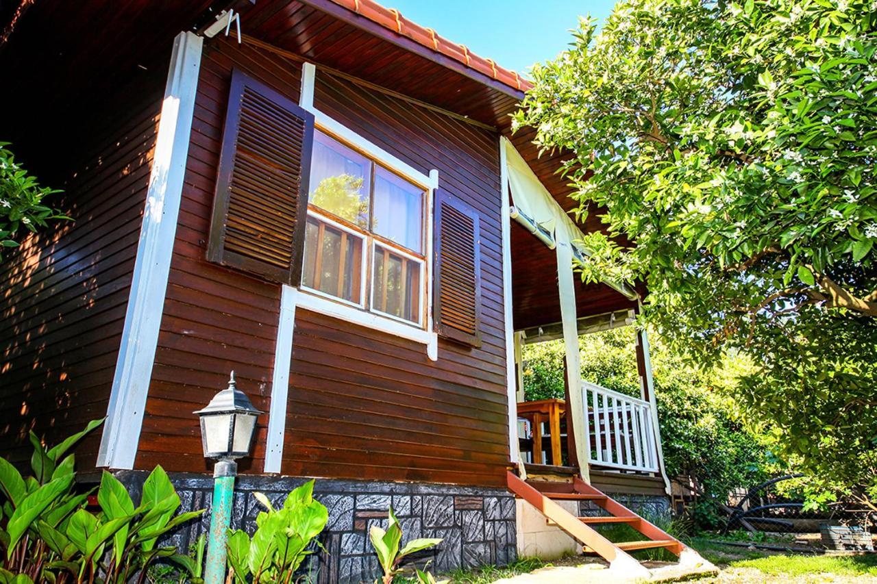 Three Islands Bungalow Çıralı Exteriör bild